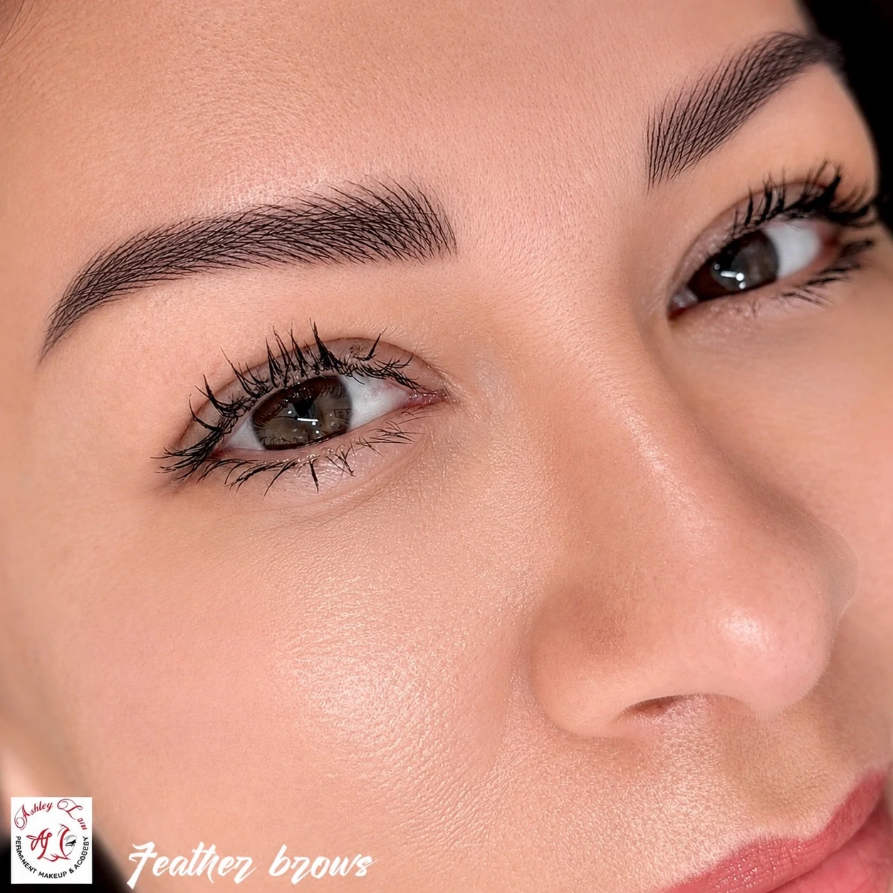 Defined Feather Brows permanent makeup work by Ashley Luu