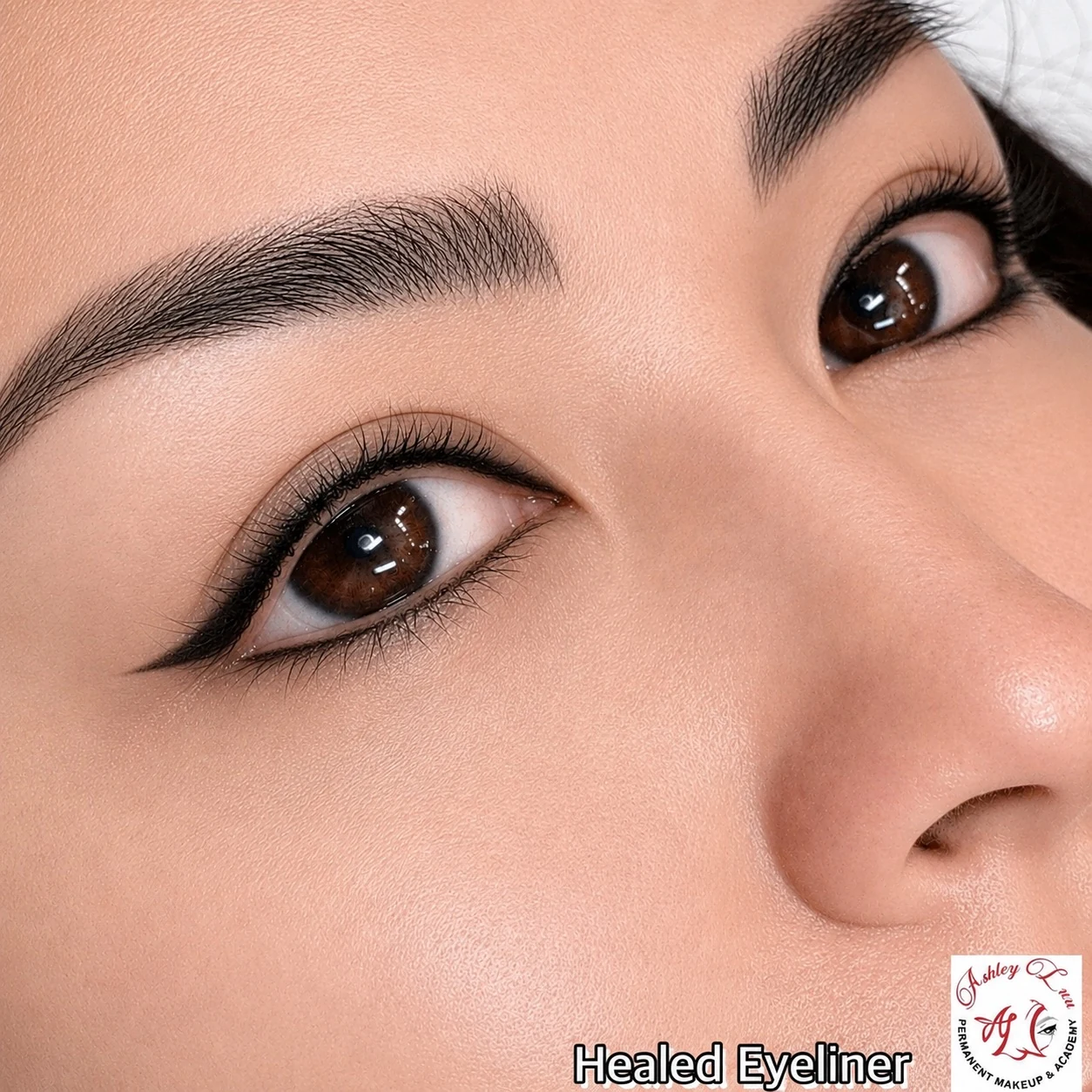 Healed Eyeliner permanent makeup work by Ashley Luu