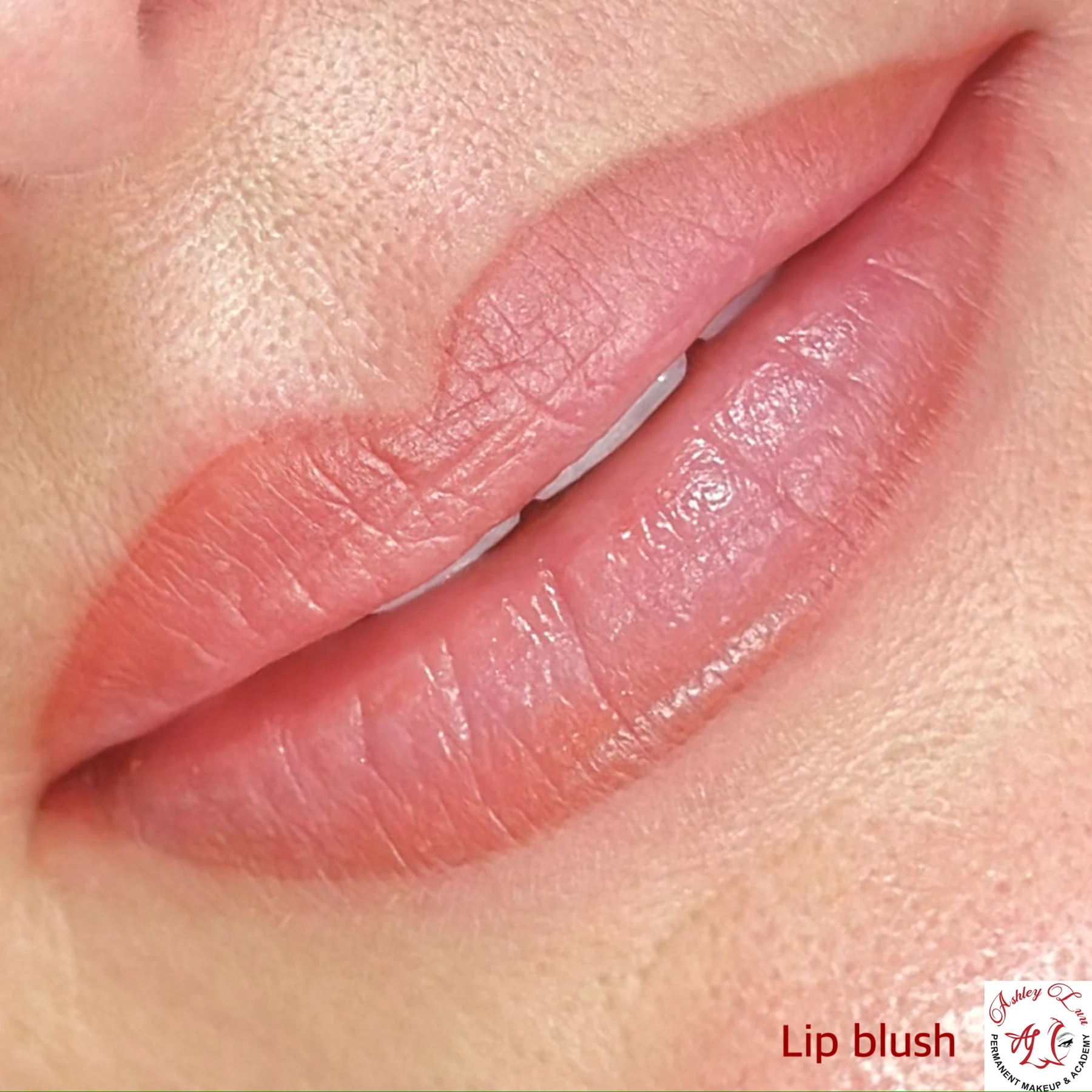 Natural Rose Lip Blush permanent makeup work by Ashley Luu