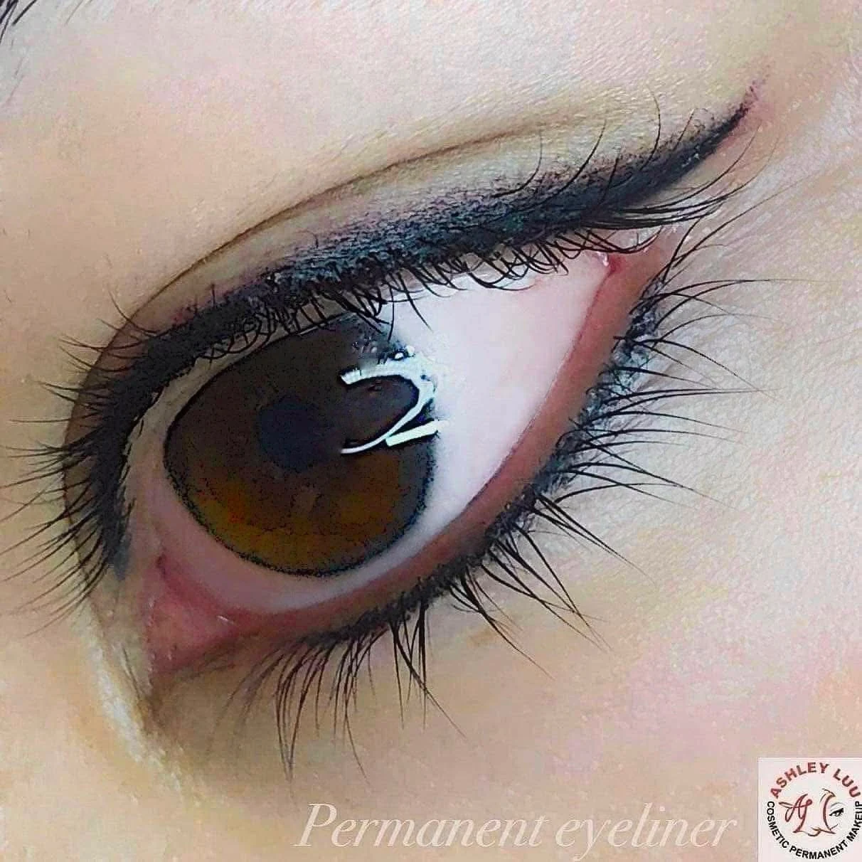 Classic Permanent Eyeliner permanent makeup work by Ashley Luu