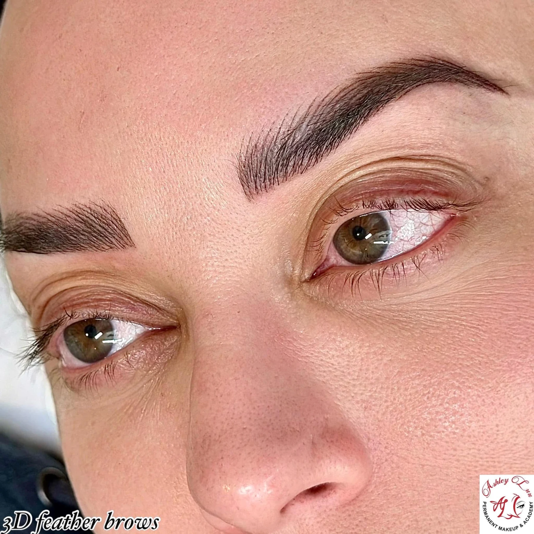 3D Feather Brows permanent makeup work by Ashley Luu