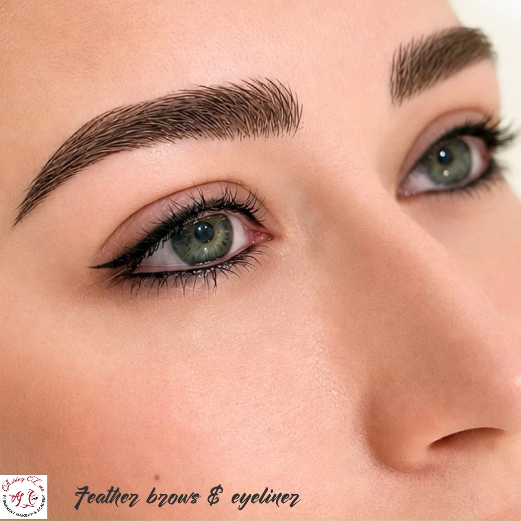 Feather Brows with Eyeliner permanent makeup work by Ashley Luu