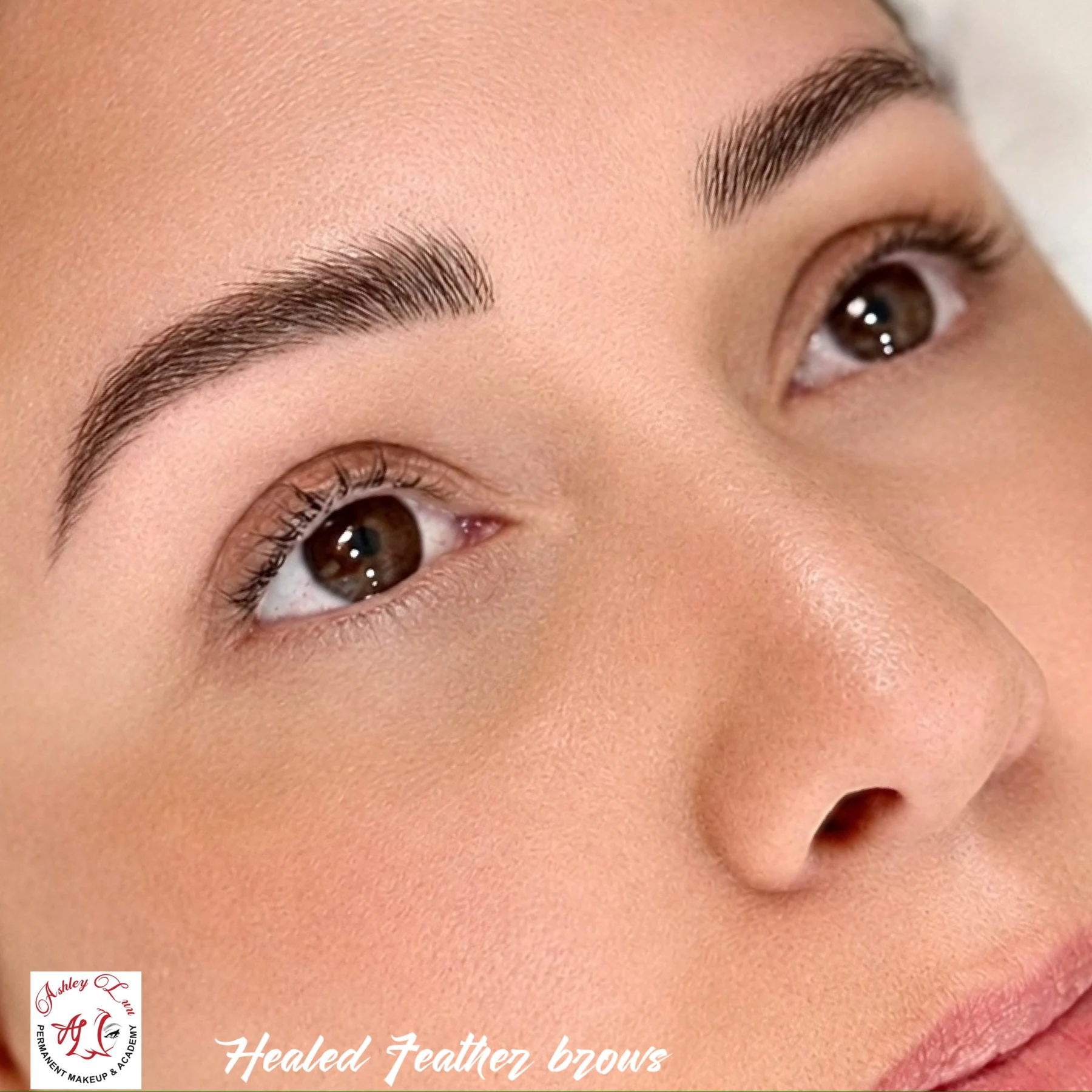 Healed Feather Brows permanent makeup work by Ashley Luu