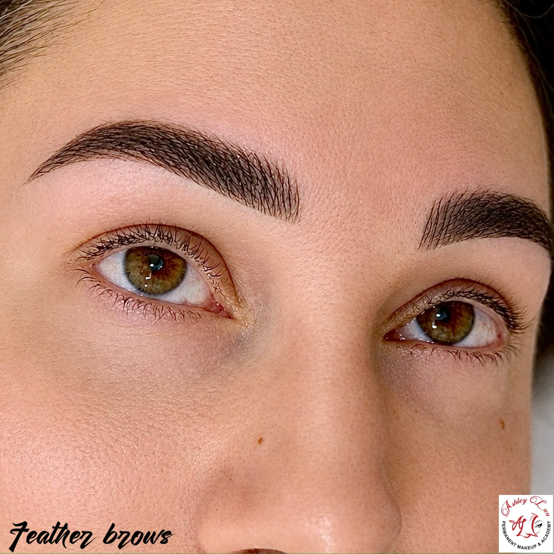 Dimensional Feather Brows permanent makeup work by Ashley Luu