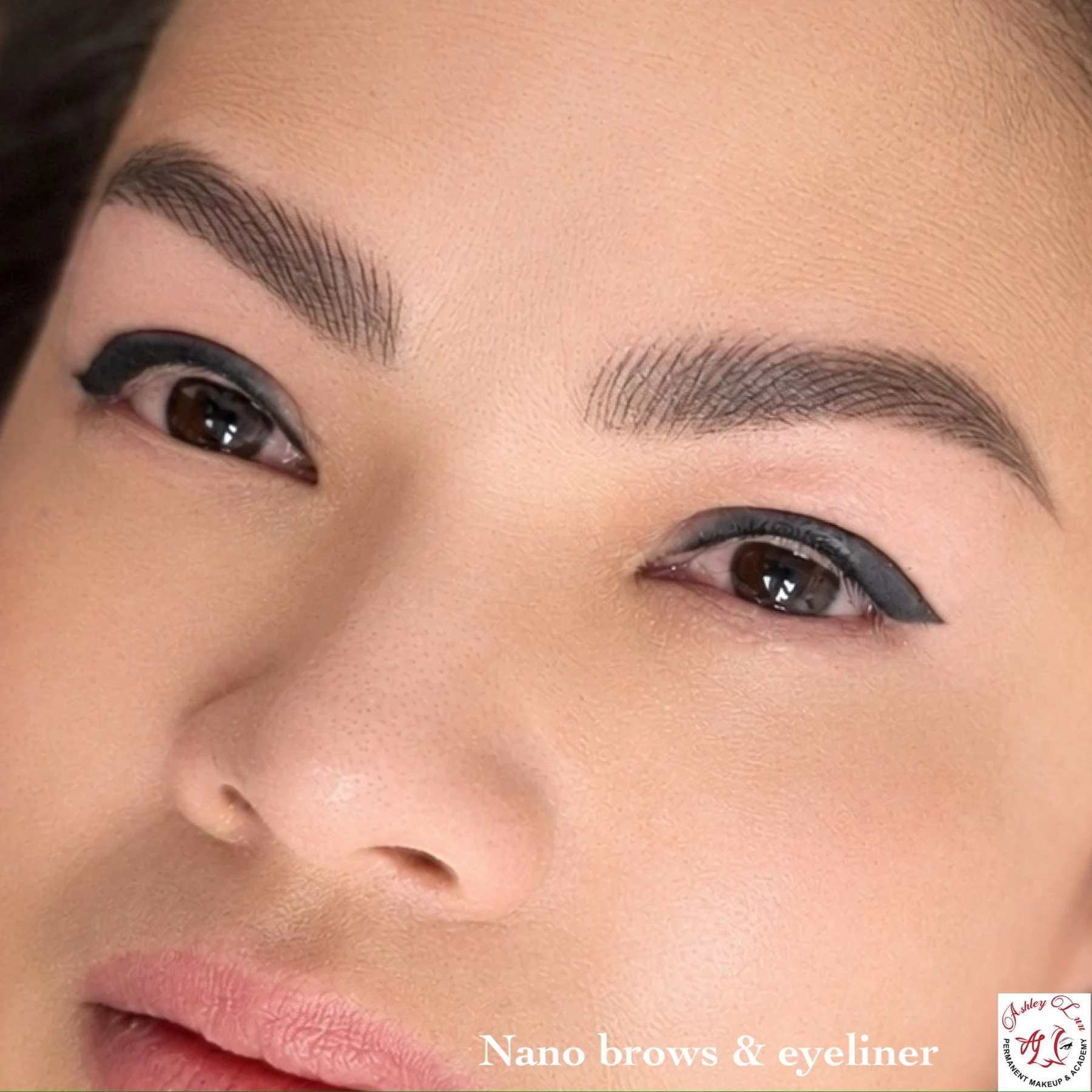 Nano Brows with Eyeliner permanent makeup work by Ashley Luu