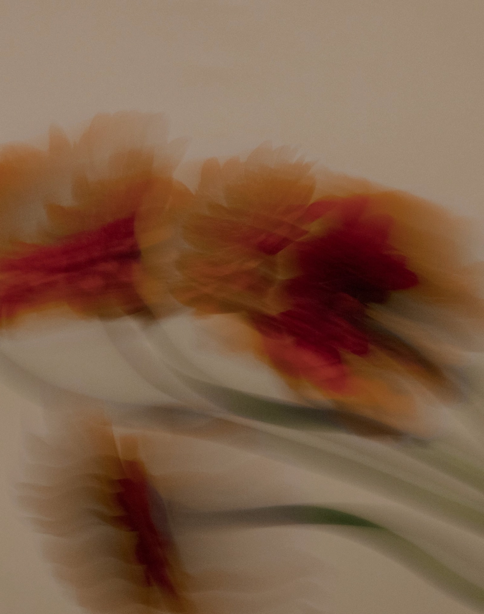 Soft-focus florals, the RE-CODE SKIN protocols motif